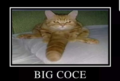 Big_coce.png