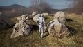 RealiScan Photogrammetry Boulders (9).jpg