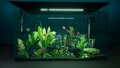 Aquarium Pack (9).jpg