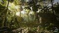 Low Poly Rainforest Pack (2).jpg