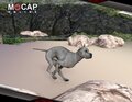 daz-dog-8-animation-cycles--base-and-great-dane-01-daz3d.jpg