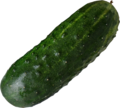 cucumber-003.png