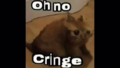 1635864981536.png