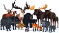 LowPoly Wild Animals (1).jpg