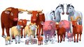 LowPoly Farm Animals (2).jpg