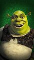 1663139165_43-mykaleidoscope-ru-p-zloi-shrek-krasivo-48.jpg