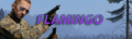 dayz flamingj.png