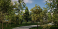 Landscaping Small Trees 1.png