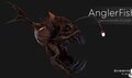 AnglerFish img.jpg