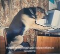 Изображение WhatsApp 2025-01-25 в 11.20.08_9eac9307.jpg