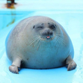 1738519337933.png