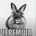 b4353d58221b6ff99ad38227c4dbca09.jpg