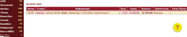 отчет байя -хувентуд.png