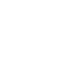 bloom.png