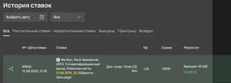 отчет брюгге - зальц.png