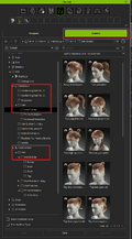 Character Creator 4 - Default.ccProject.png