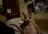 IMG_20251012_154127_838.jpg