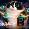 удали интелку еблан.png