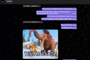 1231312.PNG