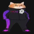 EEXOMI.jpg