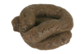 poop_PNG5.png