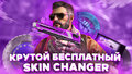 SKIN CHANGER jpeg.jpg