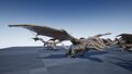 StoreDesertDragonscreenshot04-1920x1080-6209c4342f79b056243c91a48aea245f.jpg