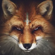 FoxDoredo