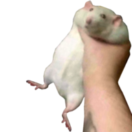 BigPP