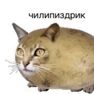 TeJLeBu3oP