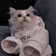 TheXSVV