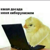 lvrulelvrule