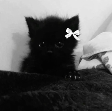 eiyr4rhufhur4hu9r4hu