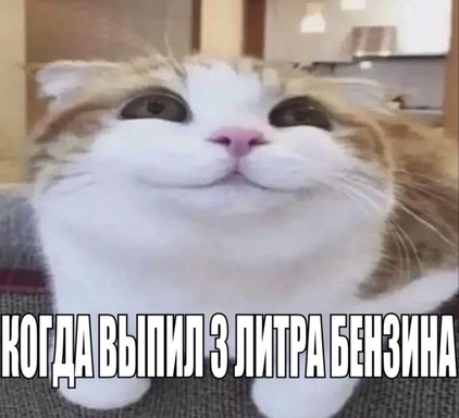 whyunv3rs