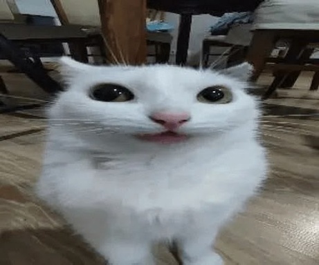 shifteskiy