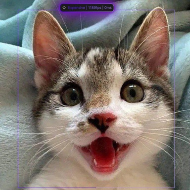kvzz