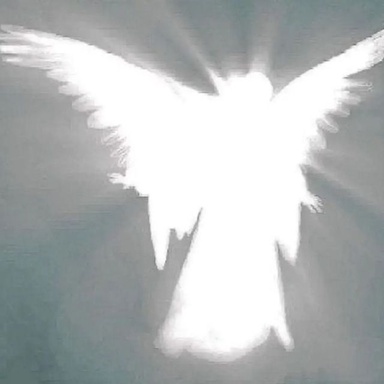 Kryptik