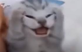 Drlag