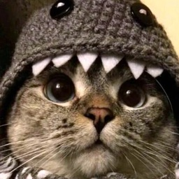 LittleDev