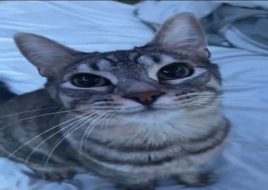 TITANIUMDLC
