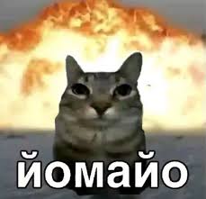 Sofer