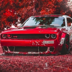 Reizop123