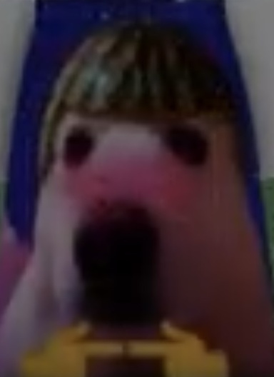 Foooki473