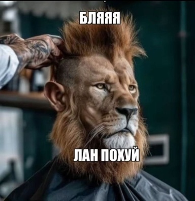 whyraze