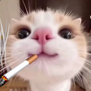 andreycrack1337