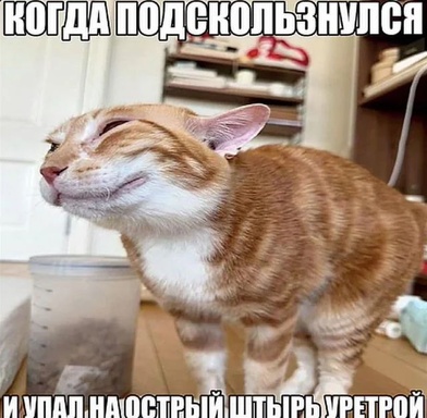 skallikss