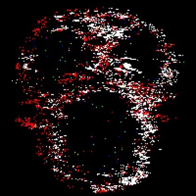 qxezecwr
