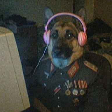 Reichsleiter