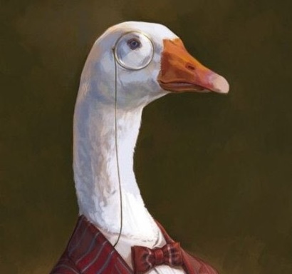 Mr.Goose