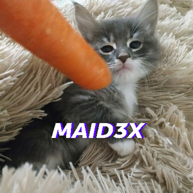 maid3x